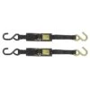 BoatBuckle Kwik-Lok Transom Tie-Down (2-Pack)