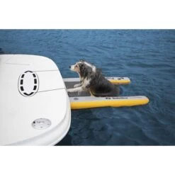 Solstice Inflatable Pup Plank Dog Ramp -Sports Store inflatable pup plank dog ramp 33424 7 2023 132702