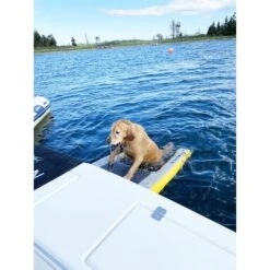 Solstice Inflatable Pup Plank Dog Ramp -Sports Store inflatable pup plank dog ramp 33424 8 2023 132702