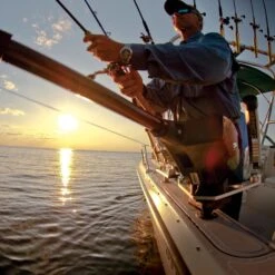 Cannon Magnum 10 Electric Downrigger - 1902305 -Sports Store magnum 10 electric downrigger 1902305 10