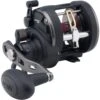 Penn Warfare Level Wind Conventional Reel